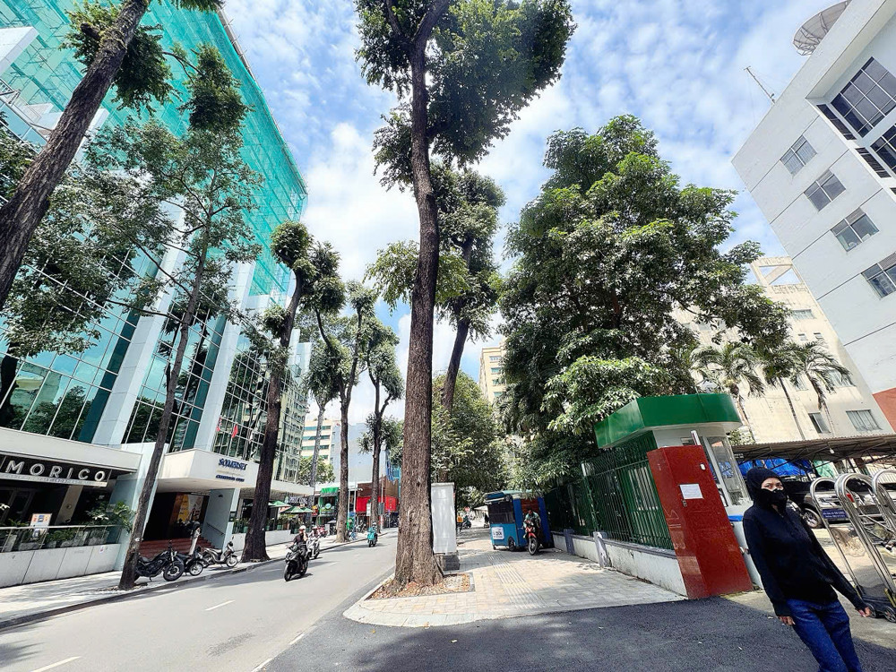 Bán Siêu Dự Án Kim Cương Quận 1 - Mặt Tiền Đ.mạc Đĩnh Chi - Ngang Bề Thế 33M*39m - Gpxd 3 Hầm 16