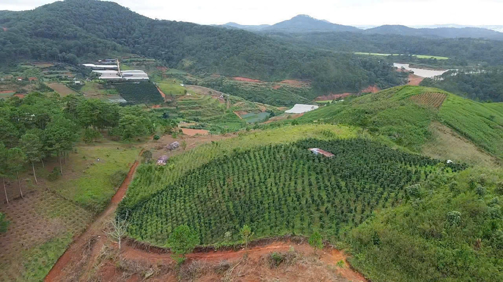 Bán Đất Nghỉ Dưỡng , Canh Tác Tại Lang Biang, Đà Lạt , Lâm Đồng