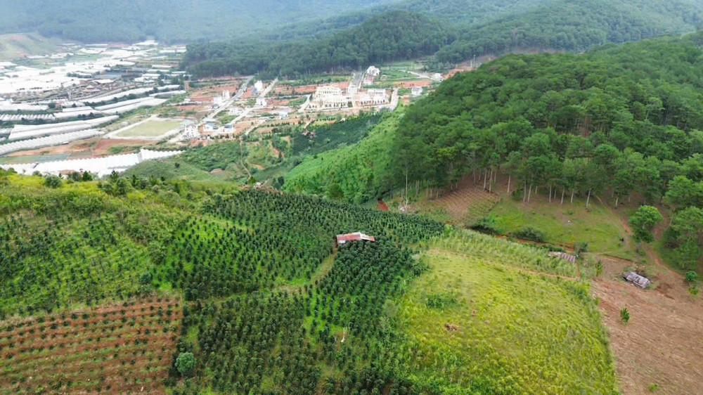 Bán Đất Nghỉ Dưỡng , Canh Tác Tại Lang Biang, Đà Lạt , Lâm Đồng