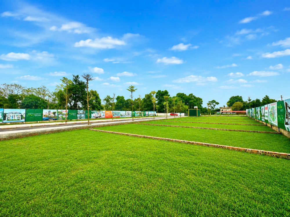 Chỉ Hơn 2 Tỷ – Sở Hữu Ngay Lô Đất 100M² Thổ Cư, Vị Trí Đẹp Tại Phú Cát
