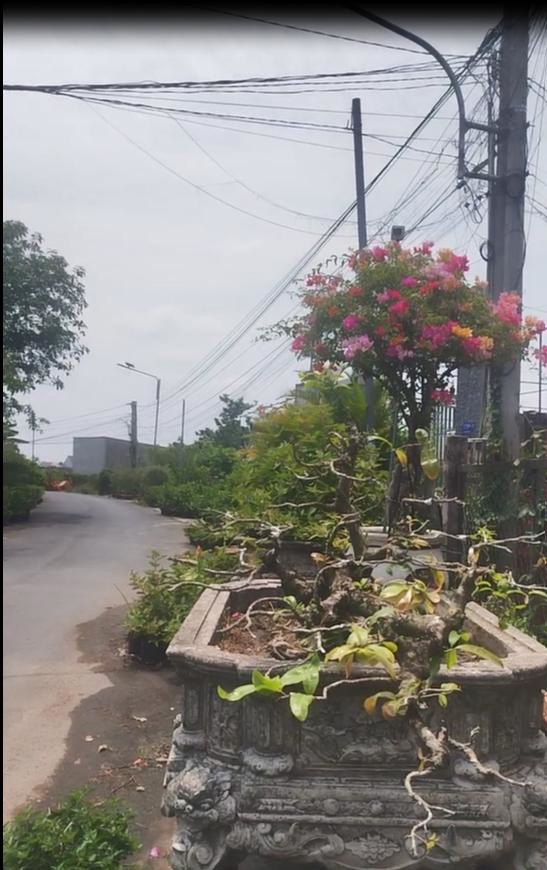 Bán Nhà Đường Trần Khánh Dư- Khu Làng Hoa Sa Đéc, 380M2, Giá 2 Tỷ 8