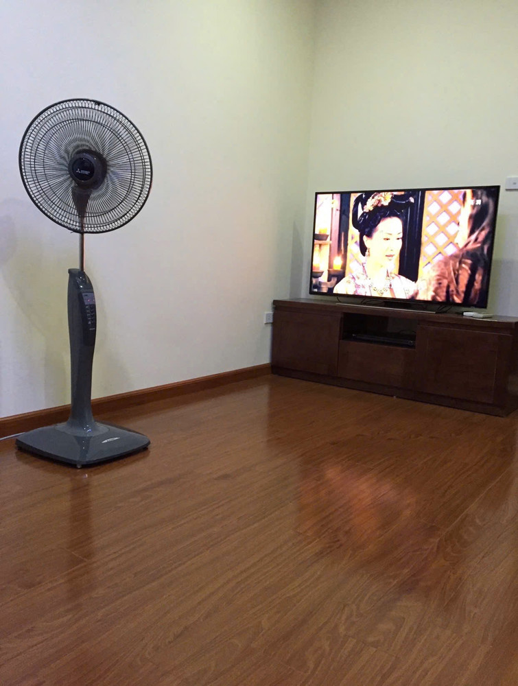 Chính Chủ Cho Thuê Căn Hộ Ecohome 2N1k Full Nội Thất - Chỉ Hơn 9Tr