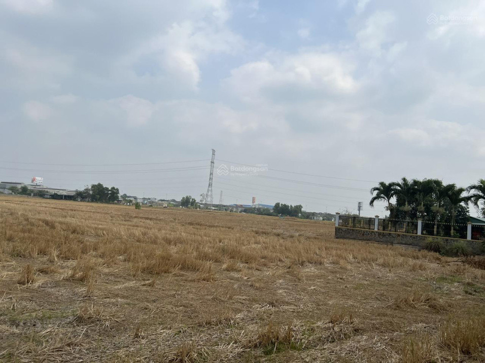 Bán Đất Tân Bửu, Bến Lức, Long An 20.335M2 Giá 3,5Tr/m Cách Đường Nguyễn Hữu Trí 300M