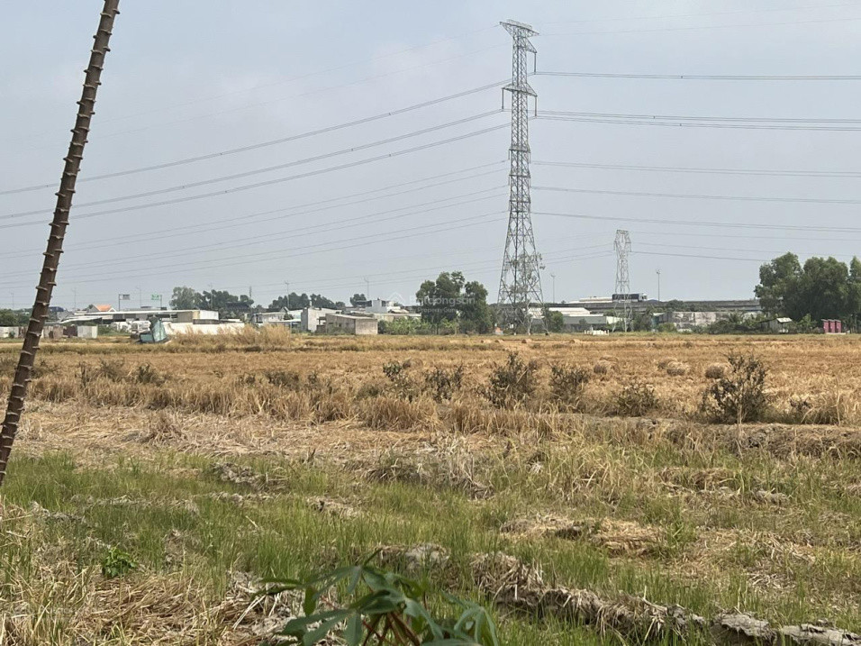 Bán Đất Tân Bửu, Bến Lức, Long An 20.335M2 Giá 3,5Tr/m Cách Đường Nguyễn Hữu Trí 300M