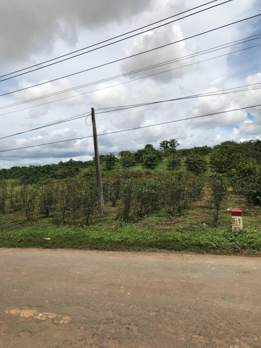 Bán Đất 2 Mt Ql 28B Đức Trọng, Lâm Đồng, 10 X 50M, (200)M2 Tc, Giá 3,8 Tỷ