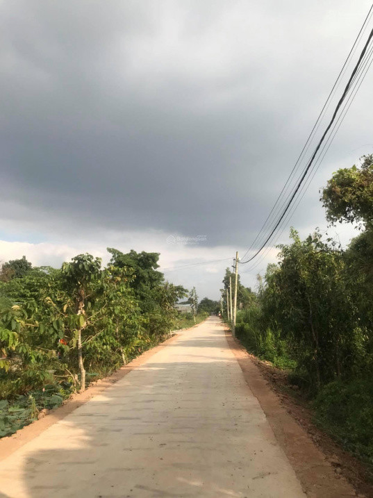 Bán Đất An Hạ, Xã Phạm Văn Hai, Bình Chánh 50M2, Giá Tt 450Tr