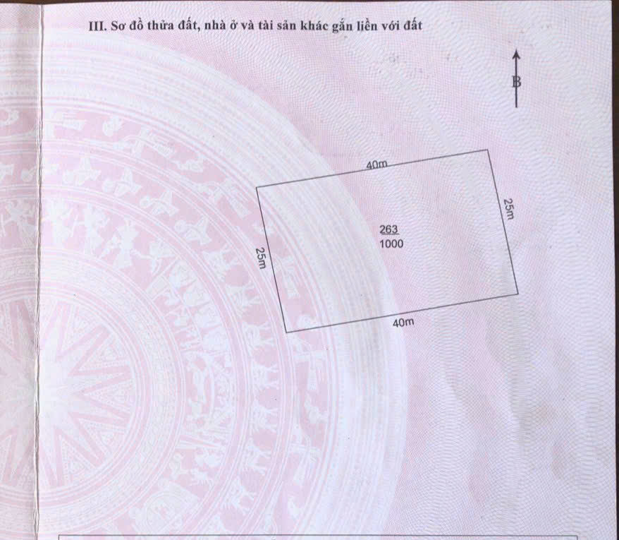 Cơ Hội Đầu Tư Sinh Lời - Siêu Phẩm Làm Nhà Vườn 1.000M² Tại Xã Bình Đức, Bến Lức, Long An