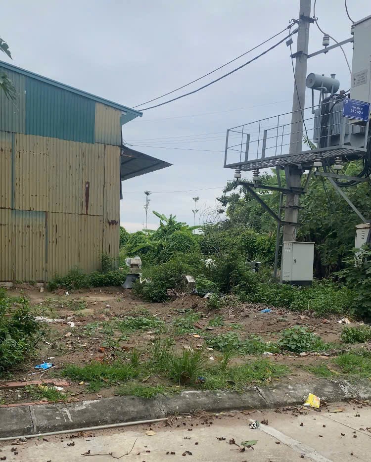 Đất Đẹp- Giá Tốt Bán Nhanh Lô Đất Đấu Giá Đắc Sở - Lô Góc Huyện Hoài Đức, Hà Nội