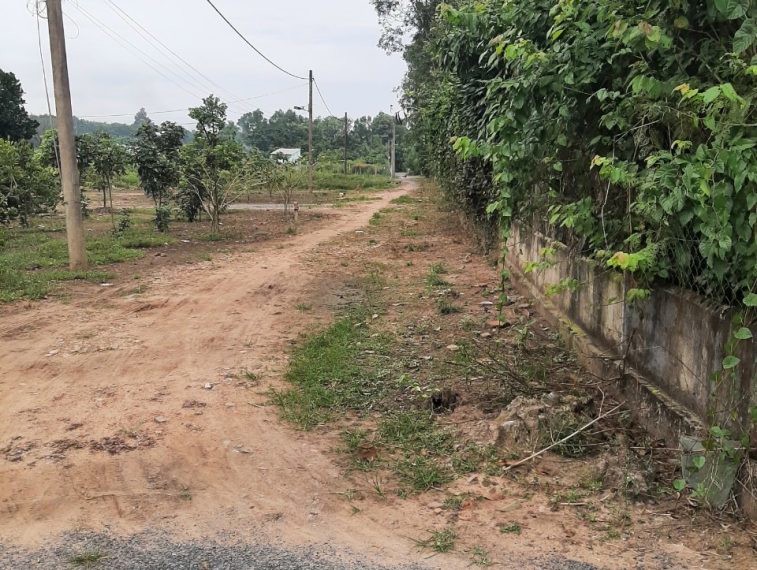 Cho Thuê Mặt Bằng Đất Trống 1100M² (Có Thổ Cư)