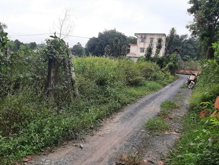 Cho Thuê Mặt Bằng Đất Trống 1100M² (Có Thổ Cư)