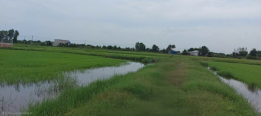 Chính Chủ Bán Đất 2 Mặt Tiền Xã Đức Lập Tây Ninh 1678M2 Sổ Hồng Riêng Chỉ 7 Ty 900 Tr