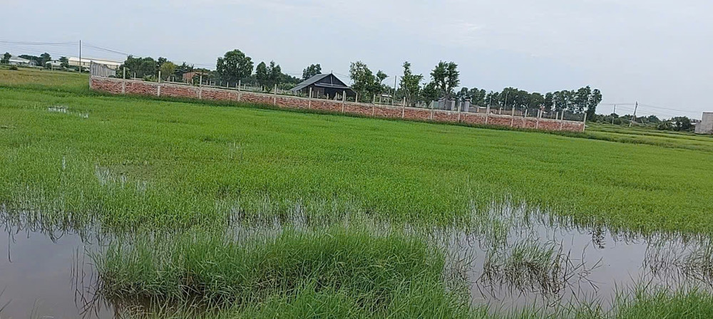 Chính Chủ Bán Đất 2 Mặt Tiền Xã Đức Lập Tây Ninh 1678M2 Sổ Hồng Riêng Chỉ 7 Ty 900 Tr
