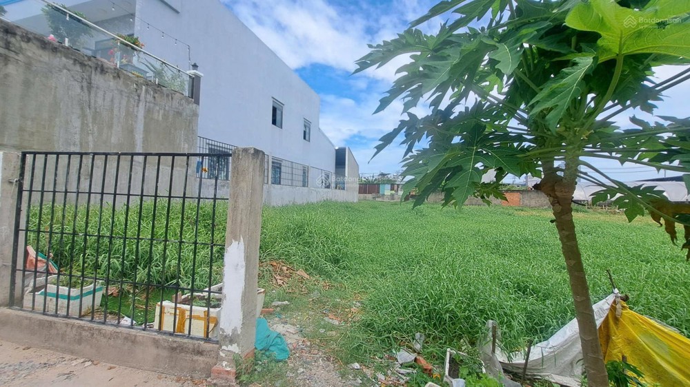 Bán Đất Tại Mỹ Hoà 3, Hóc Môn, 15 Tỷ, 164M2, Mặt Tiền 10M, Ngõ 6M