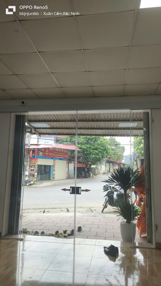 Bán Gấp Giá Rẻ Mặt Đường Tỉnh Lộ 295, Lý Viên 127M, Cấp 4, Mặt Tiền 5M, 4.8 Tỷ Bắc Ninh