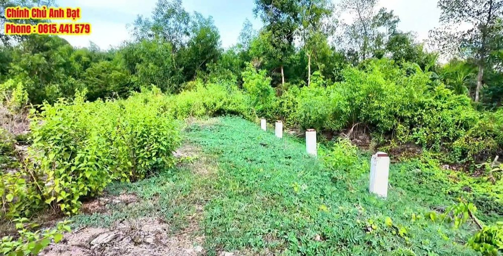 Cơ Hội Sở Hữu 750M² Đất Mặt Tiền Dh9 – Giá Cực Tốt- Xã Châu Thành (Ngã Tư Tam Hạp) - Gần Nướng Ngói