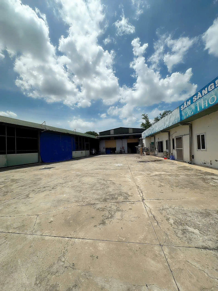 Siêu Phẩm Nhà Xưởng Long An – 8.600M², Chuyển Giao Công Ty + Dòng Tiền Sẵn