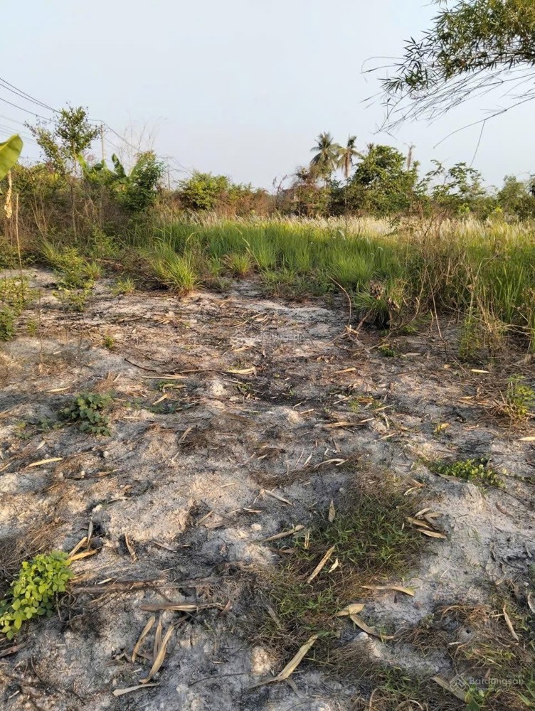 Chính Chủ Cần Bán Lô Đất Mặt Tiền Tại Xã Đôn Thuận, Huyện Trảng Bàng, Tây Ninh
