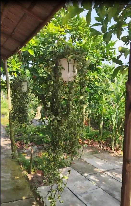 Bán Đất Thổ Cư 864M2 Sổ Hồng Nguyễn An Ninh, Tân Quy Đông, Sa Đéc. Giá 2.5 Tỷ