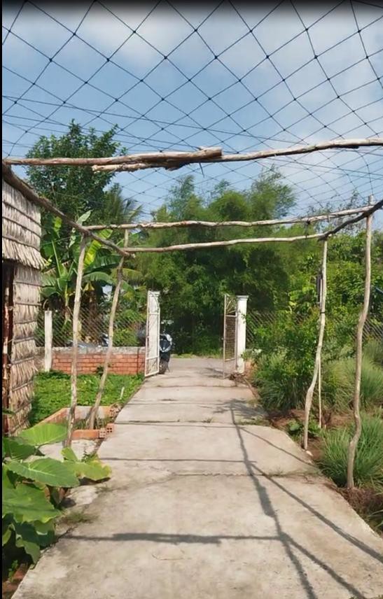 Bán Đất Thổ Cư 864M2 Sổ Hồng Nguyễn An Ninh, Tân Quy Đông, Sa Đéc. Giá 2.5 Tỷ