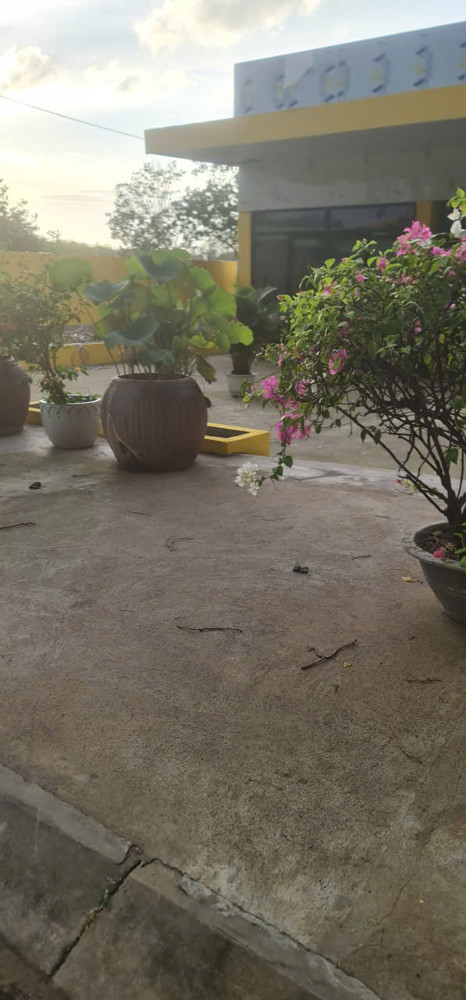 Chính Chủ Cho Thuê Mặt Bằng Kinh Doanh Và Nhà Ở Hơn 500M² – Vị Trí Đẹp Tại Cần Giờ