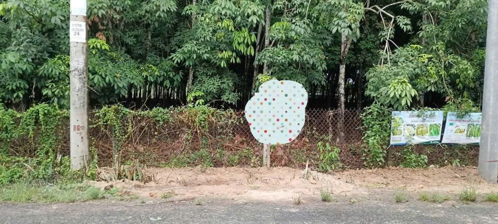 Đầu Tư Là Sinh Lời - Chính Chủ Cần Bán Nhanh Lô Đất Ấp Phước An, Xã Phước Thạnh, Tỉnh Tây Ninh