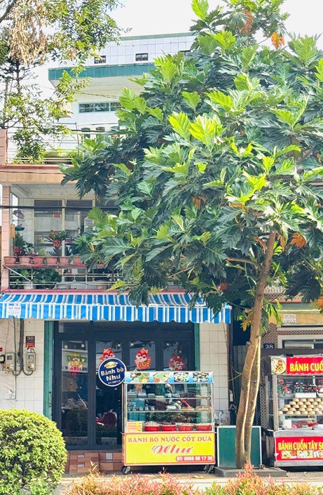 Chính Chủ Chuyển Nhượng Nhà Mặt Tiền Trung Tâm Tp. Pleiku – Vị Trí Vàng Kinh Doanh