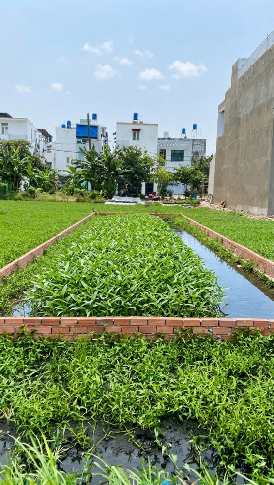 [K2580*] Đất Vuông Vức 100M2 Hẻm Xe Hơi Sát Chợ Thạnh Xuân, Giá Đầu Tư Cực Rẻ 2.X Tỷ!