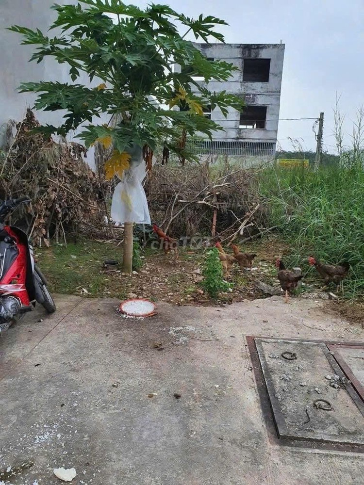 Đất Đẹp – Giá Tốt- Chính Chủ Cần Bán Đất Tại Xã Vĩnh Tân, Thị Xã Tân Uyên, Bình Dương