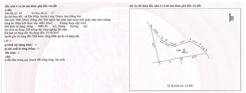 Cơ Hội Đầu Tư Sinh Lời - Chính Chủ Cần Bán Đất Tại Xã Tân Hiệp, Long Thành, Đồng Nai