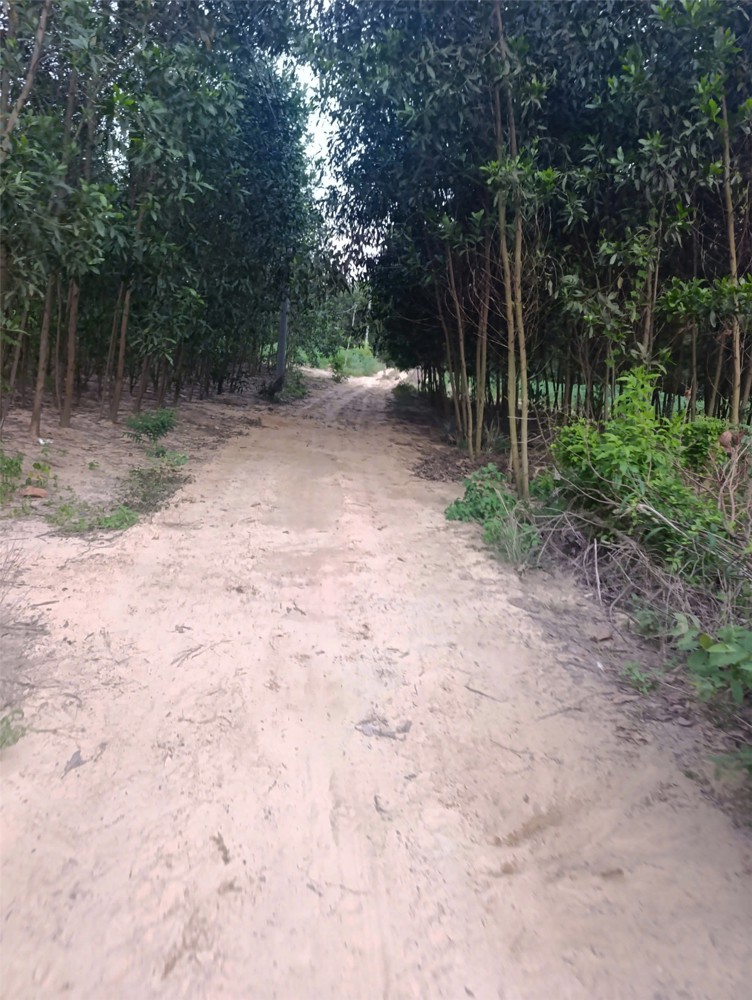 Cơ Hội Đầu Tư Sinh Lời - Chính Chủ Cần Bán Đất Tại Xã Tân Hiệp, Long Thành, Đồng Nai