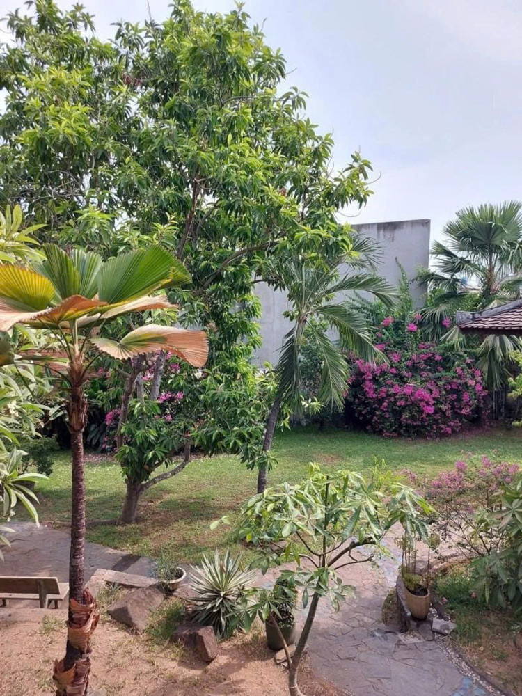 Bán Biệt Thự Vườn Hxh 8M Đường Số 38 - Hiệp Bình, 30X40m, 2 Tầng, Full Thổ Cư, Chỉ 42 Tỷ