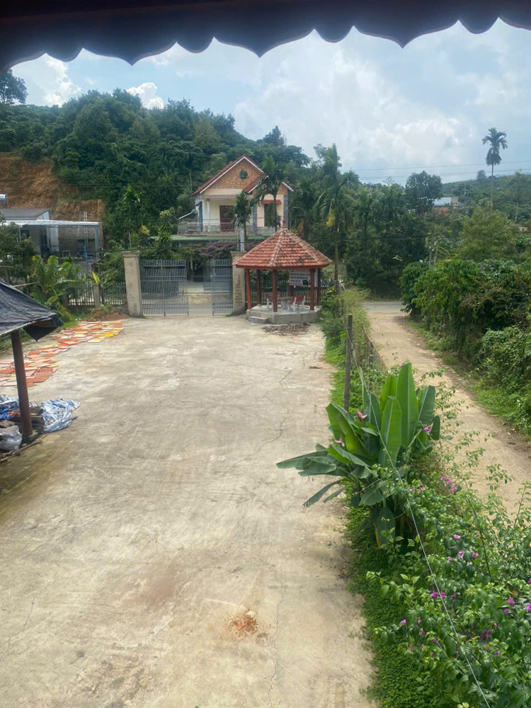 Nhà Đẹp – Giá Đầu Tư – Chính Chủ Cần Bán Căn Nhà Gỗ Và Đất Tại Phường 3, Tp. Bảo Lộc, Lâm Đồng