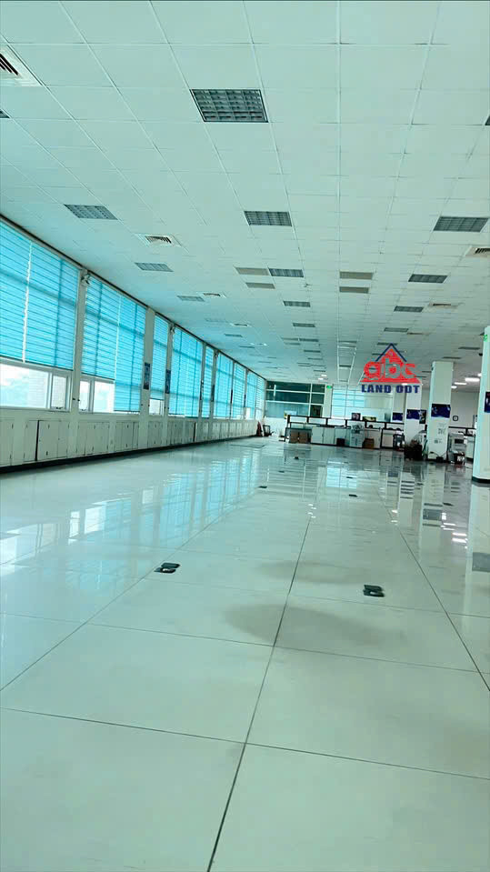 Xt168 Cho Thuê Nhà Xưởng Sx Linh Hoạt Nhiều Ngành Nghề, Tập Chung Nhiều Dn Fdi