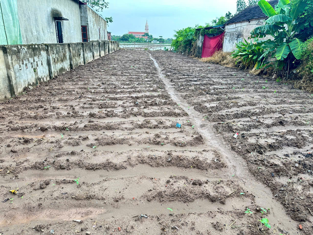 Đất Đẹp- Giá Tốt Bán Nhanh Lô Đất Đầu Tư Là Sinh Lời Tại Huyện Kim Sơn Tỉnh Ninh Bình