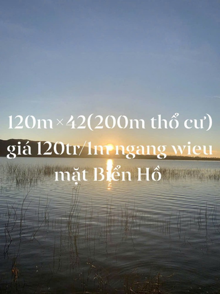 Hot Hot – Chính Chủ Cần Bán Đất View Biển Hồ Tại Thôn Nghĩa Hưng, Nghĩa Hưng, Chư Păh, Gia Lai