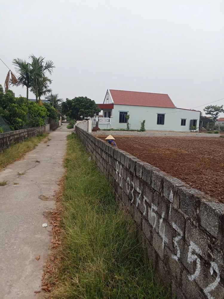 Chính Chủ Bán Đất – Lô Đầu Ve Đẹp Tại Đông Tân, Đa Lộc, Hậu Lộc, Thanh Hóa