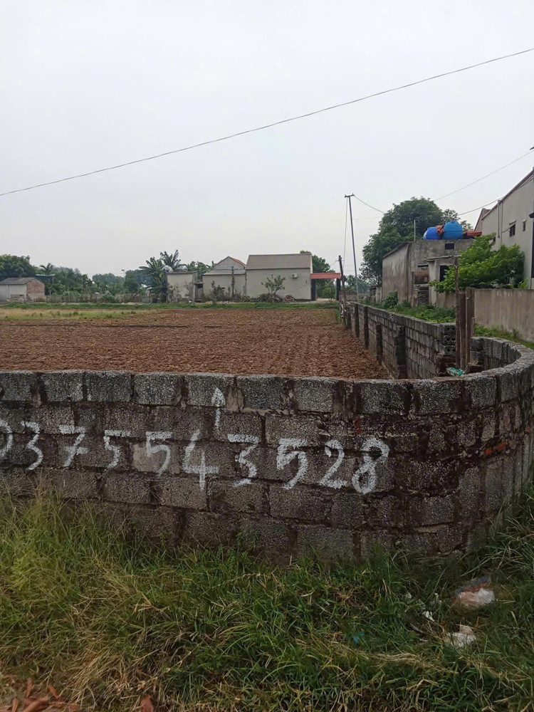 Chính Chủ Bán Đất – Lô Đầu Ve Đẹp Tại Đông Tân, Đa Lộc, Hậu Lộc, Thanh Hóa