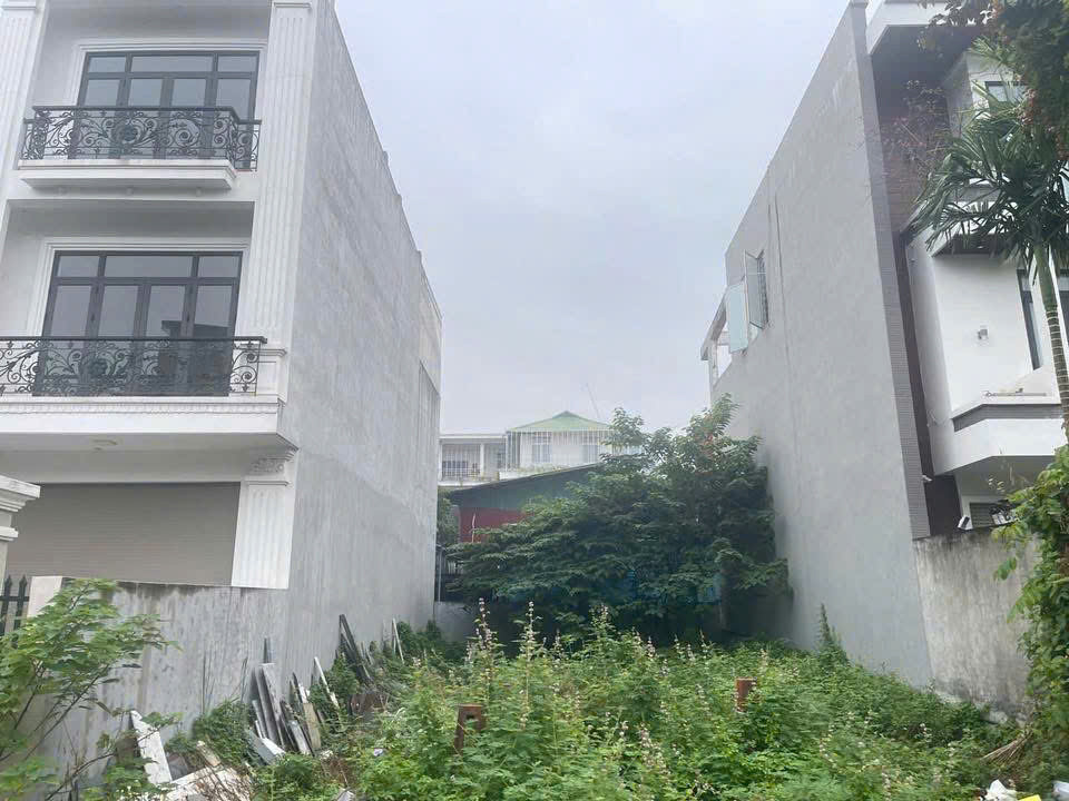 Đất Đẹp Đường Bến Láng - Tuyến 3 Lê Hồng Phong, Vị Trí Hiếm Dành Cho Khách Xây Biệt Thự Hoặc Đầu Tư