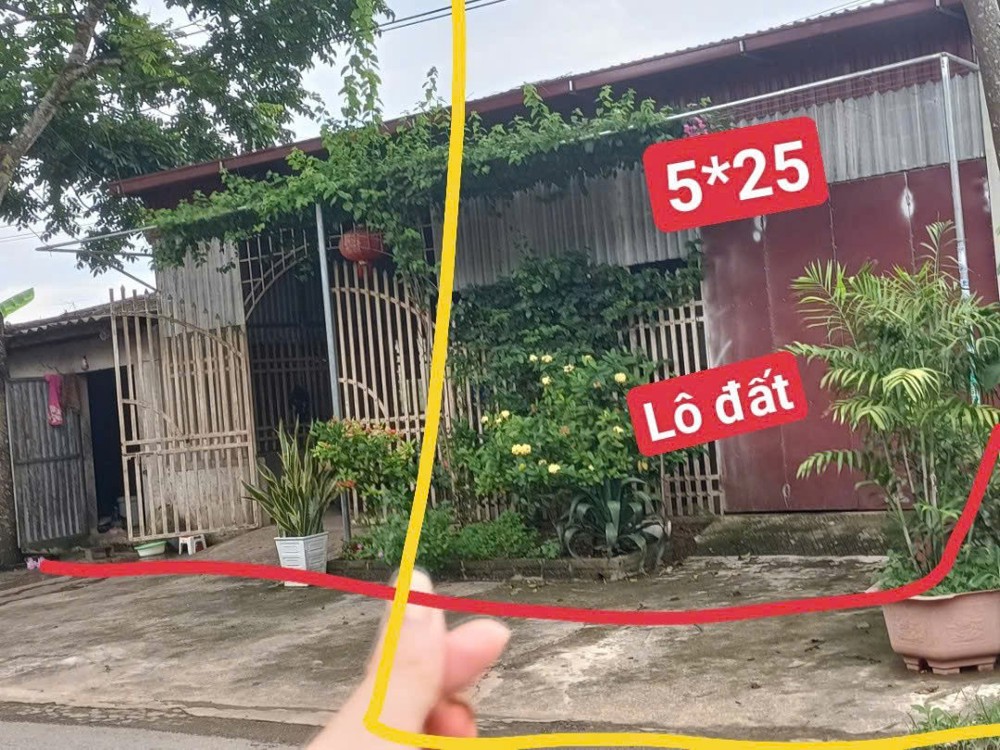 Hot Hot – Chính Chủ Cần Bán Đất Mặt Tiền Ql.217, X. Cẩm Ngọc, H. Cẩm Thủy, T. Thanh Hóa