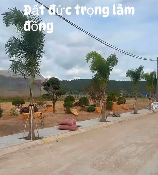 Ngõ Đồng Dao (Trục Thống Nhất Rẽ Vào), Xã Đức Trọng, Lâm Đồng