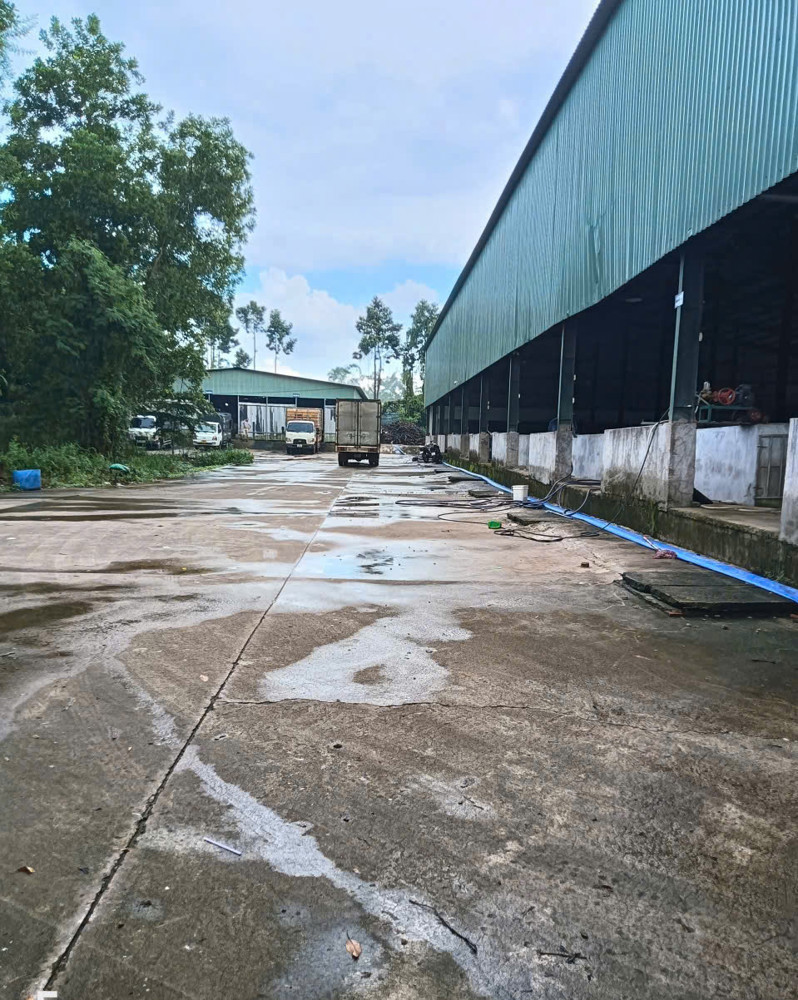 X135 Chuyển Nhượng Nhà Xưởng, Lò Mổ Gia Cầm Tại Trảng Bom, Pháp Lý Đầy Đủ