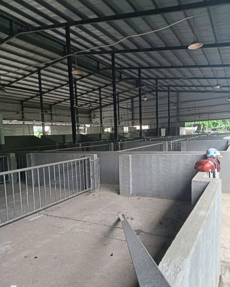 X135 Chuyển Nhượng Nhà Xưởng, Lò Mổ Gia Cầm Tại Trảng Bom, Pháp Lý Đầy Đủ