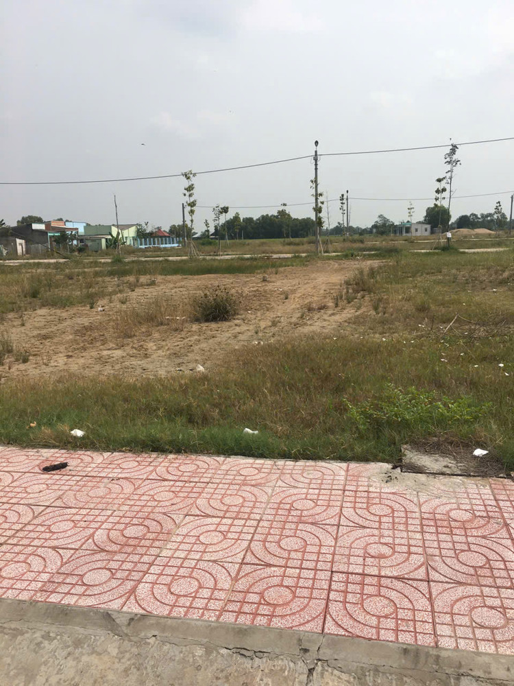 Đầu Tư Sinh Lời - Đất Đẹp – Chính Chủ Cần Bán Đất Đường Quốc Lộ 50, Xã Mỹ Lệ, Huyện Cần Đước, Long