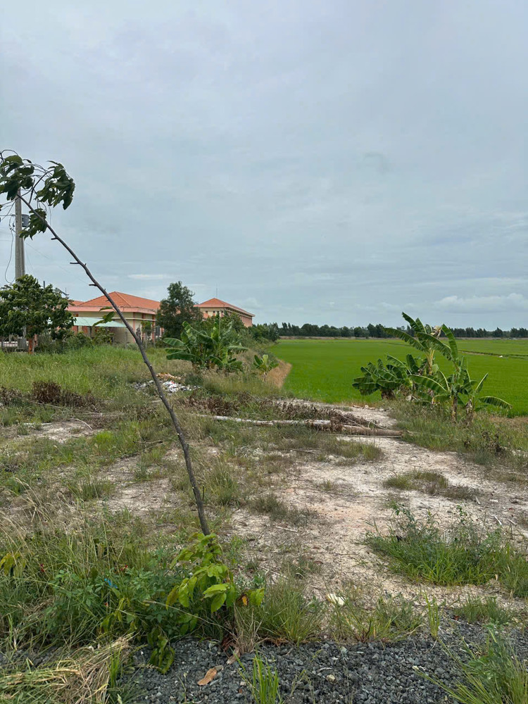 Chính Chủ Cần Bán Đất Mặt Tiền Đường Nhựa – Vị Trí Đẹp, Tiềm Năng Đầu Tư Cao - Tại Xã Mộc Hoá, Tỉnh