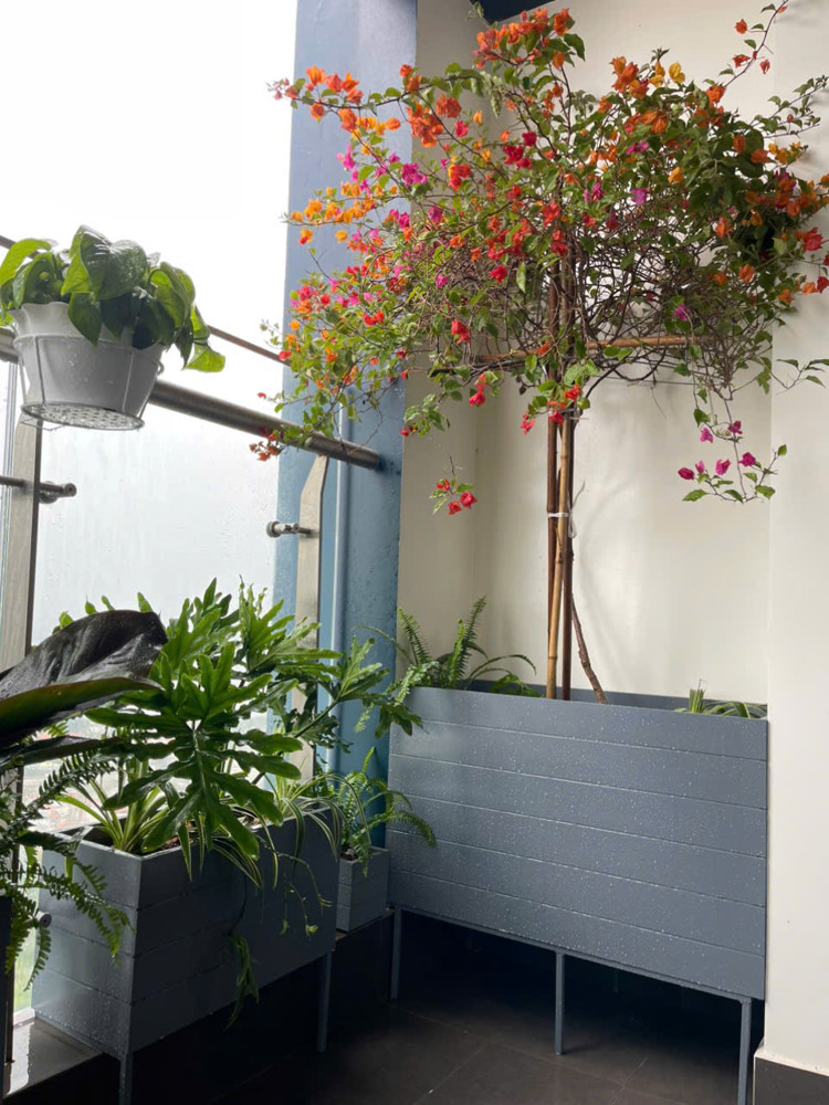 Bán Ch 3Pn Tầng Cao Sunshine City S4 105M² View Sông Hồng - Cầu Nhật Tân Giá 13,7 Tỷ