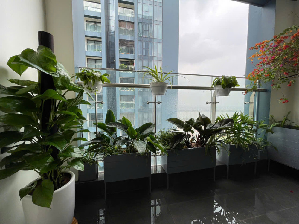 Bán Ch 3Pn Tầng Cao Sunshine City S4 105M² View Sông Hồng - Cầu Nhật Tân Giá 13,7 Tỷ