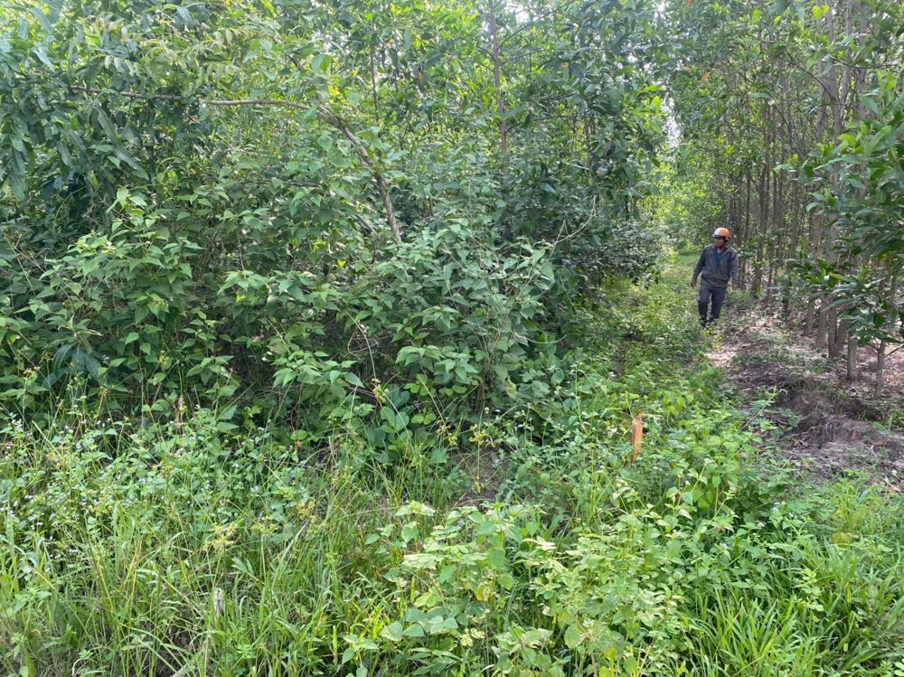 Đầu Tư Sinh Lời - Chính Chủ Cần Bán Lô Đất Tại Xã Suối Cao, Xuân Lộc, Đồng Nai