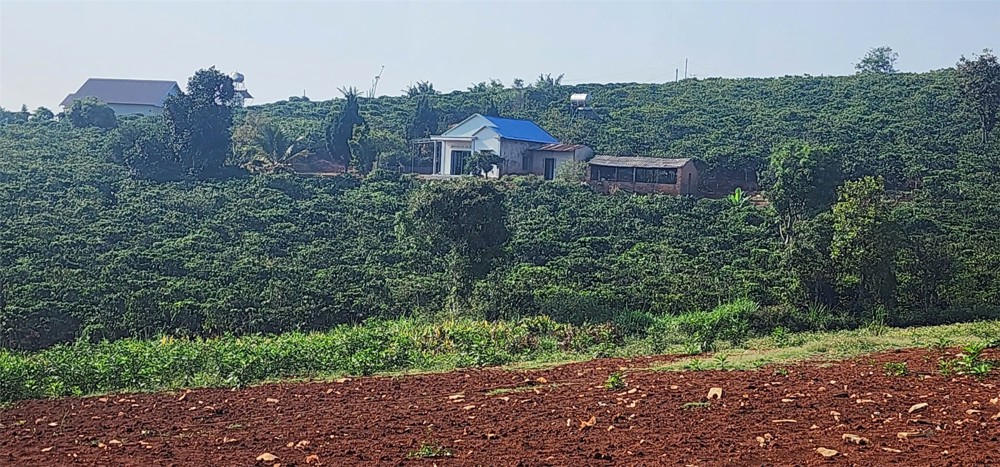 Đất Đẹp – Giá Tốt – Chính Chủ Cần Bán Đất Tại Nam Hà, Lâm Hà, Lâm Đồng