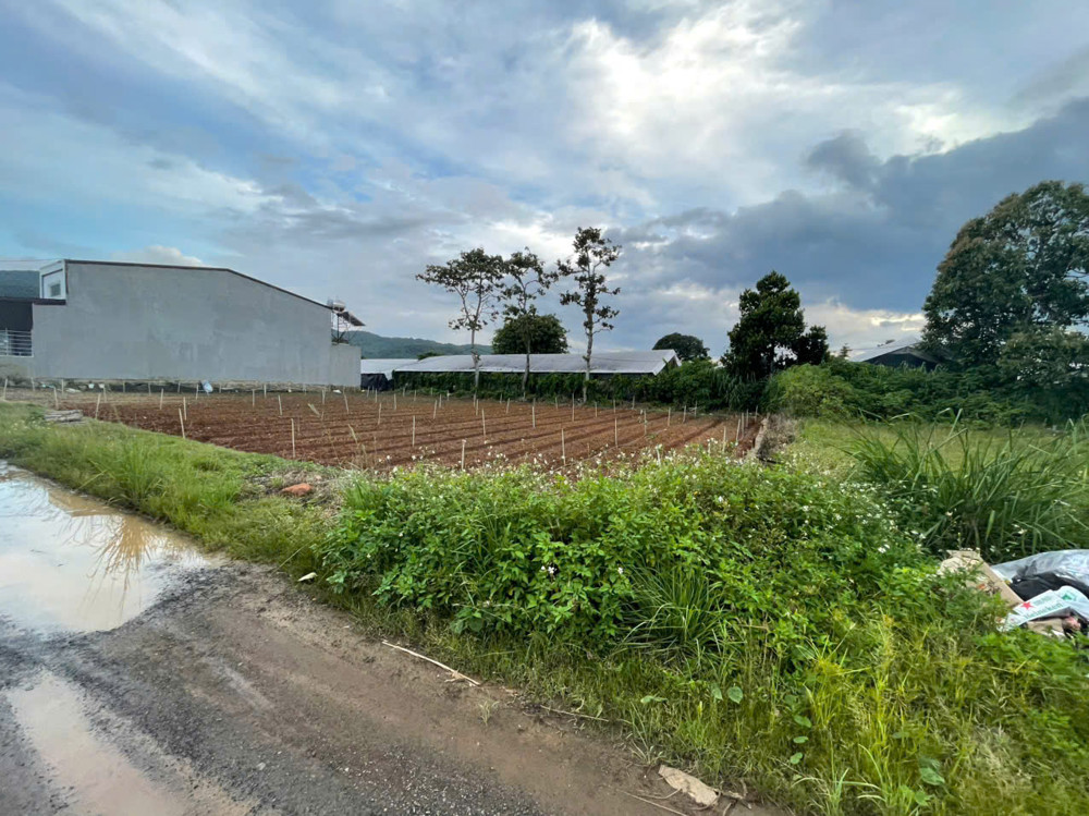 Bán Đất Liên Nghĩa, Đức Trọng Giá Rẻ – 123M² Gần Sông Đa Nhim, Cách Sân Bay 4Km