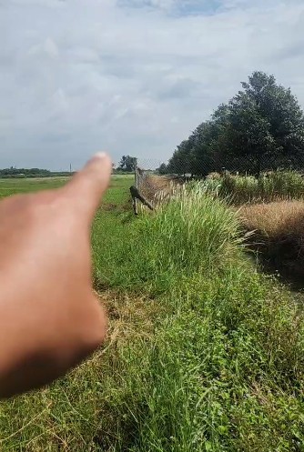 [L2682*] 1.8Ha Đất Trồng Sầu Riêng Sát Chợ Truông Mít - Giá 5.X Tỷ